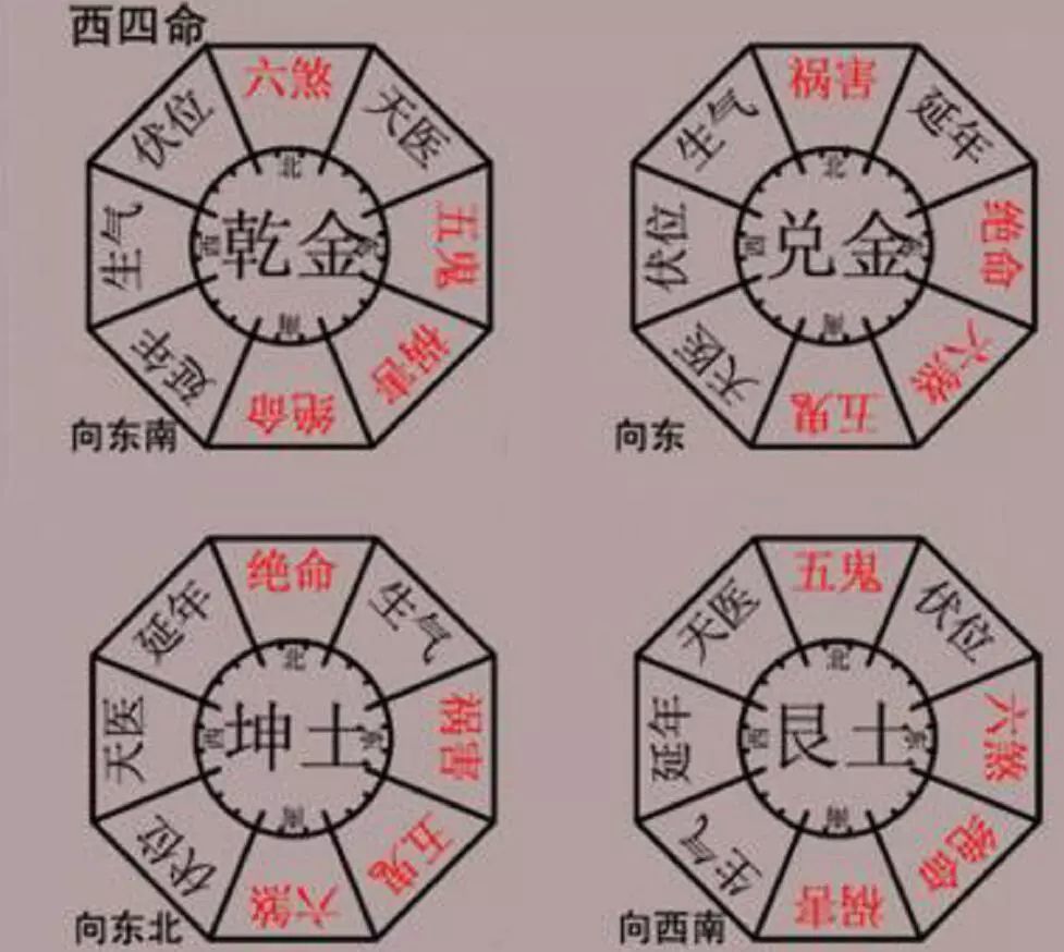 正东方位  官位:东南方位 生肖牛财位:西南方位  官位:西北方位 生肖