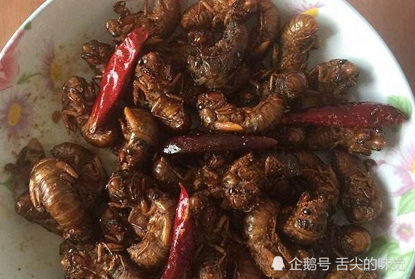 乡下室友带来的5种土特产羊奶片还好,最后一