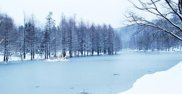 风景什么四字成语_房什么屋什么四字成语