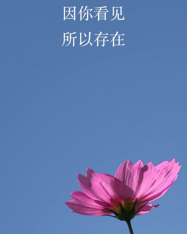 微信 7.0,看一看微信的看一看