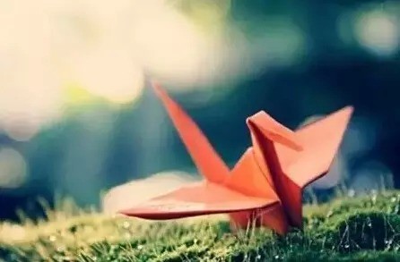 31天不同的生日意义,你是哪天呢