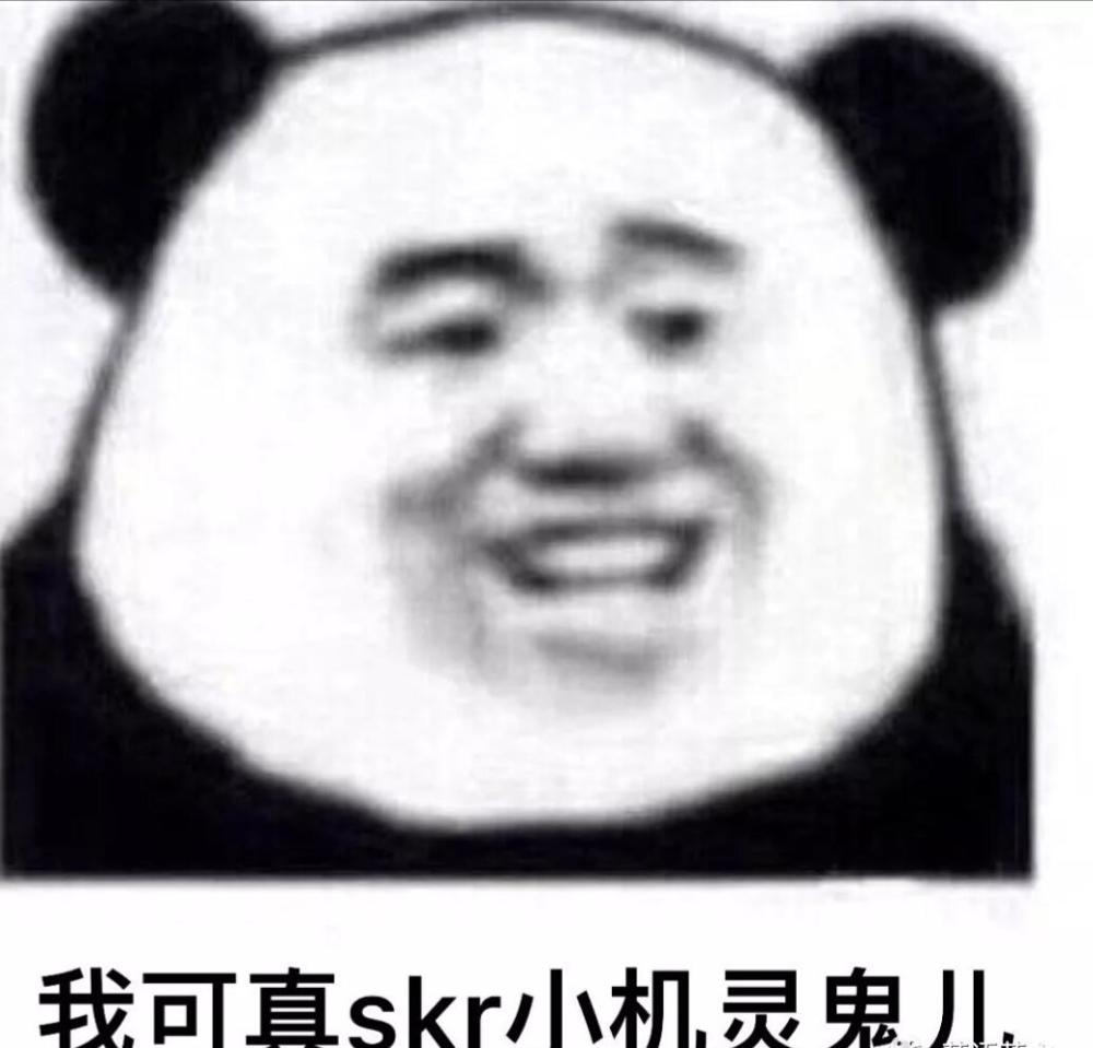 元旦,该干点啥?