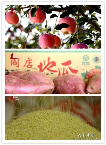大连瓦房店经济总量_大连瓦房店传销女孩(2)