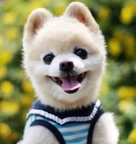 祝大家 国庆节快乐 , 嗨起来!_订阅_腾讯网