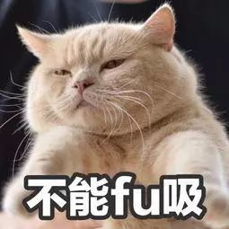 640