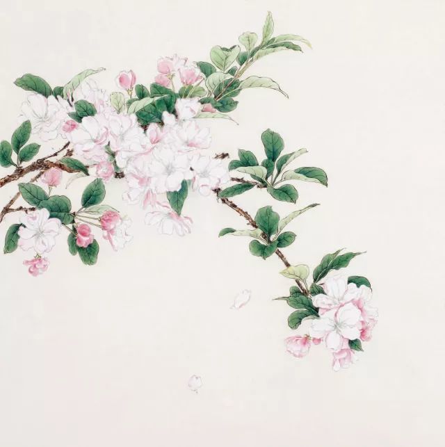 工笔海棠花作品闻香知雅的设色步骤说明