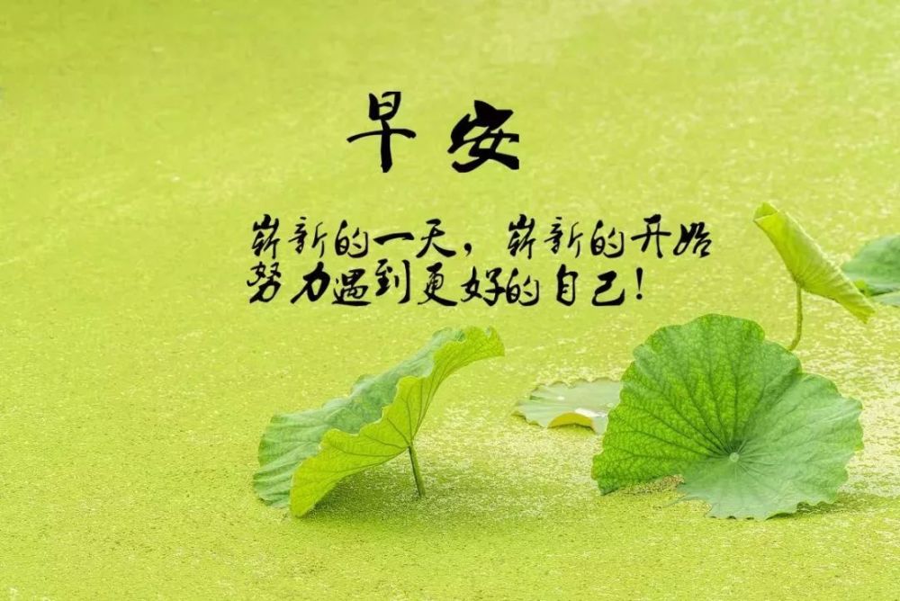 从来没有无缘无故的好和坏,也没有莫名其妙的成与败,有的只是我们每个