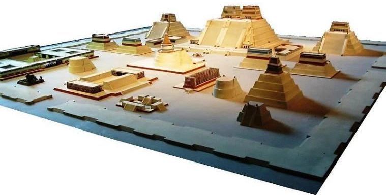 火鸡辣么丑,为什么要吃火鸡?