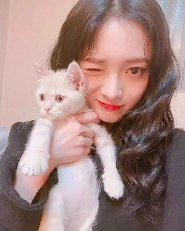 狗啃头、公主切、羊毛卷今年热门发型你们pic