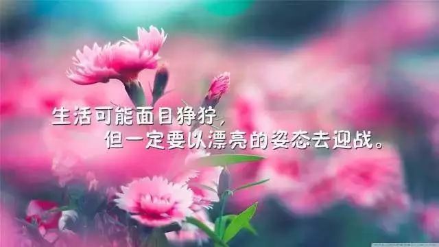 心灵鸡汤励志经典语录,拿去发朋友圈