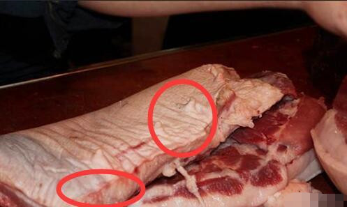 公猪肉和母猪肉有什么区别?老屠夫:很多人