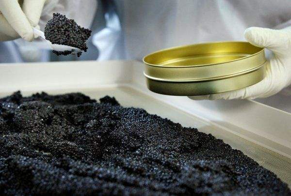 640