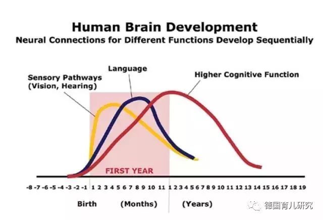 基因和后天环境哪个对智商影响更大?看完最新
