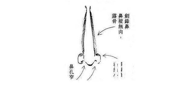 3,关于女人鼻子孤峰独耸