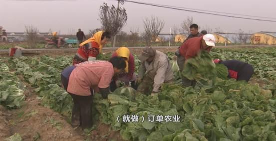 南王疃人口_望都县南王疃村平面图