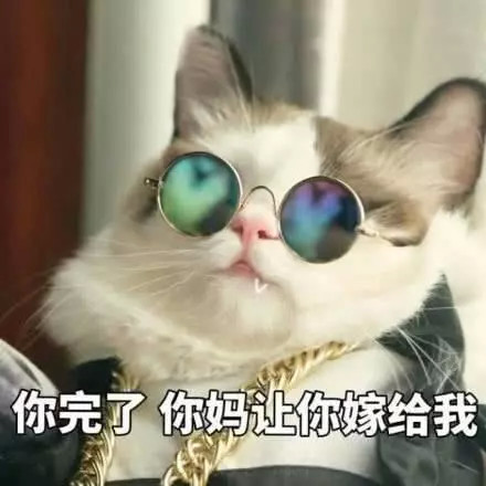 很"骚气"的撩妹表情包:我如此帅气,你爱上我了吗