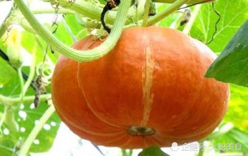 肠胃不好,就吃这4种美食,保护你的胃,修复胃粘