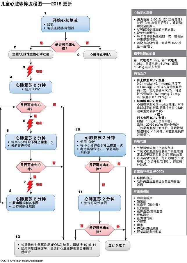 2018 aha心肺复苏指南更新——中文版