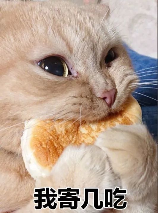 不好好吃饭,长得慢?这7大绝招,最快1周,让宝宝