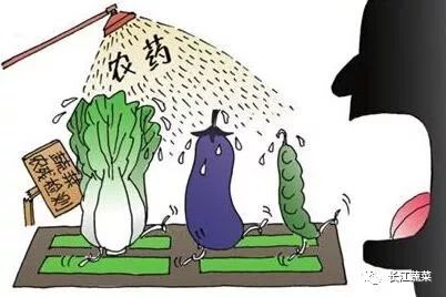 告诉你关于农药和农药残留的真相