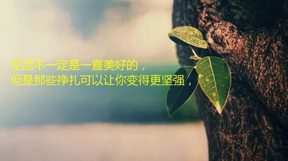 致自己的正能量哲理感悟短句 句句写进心窝里!