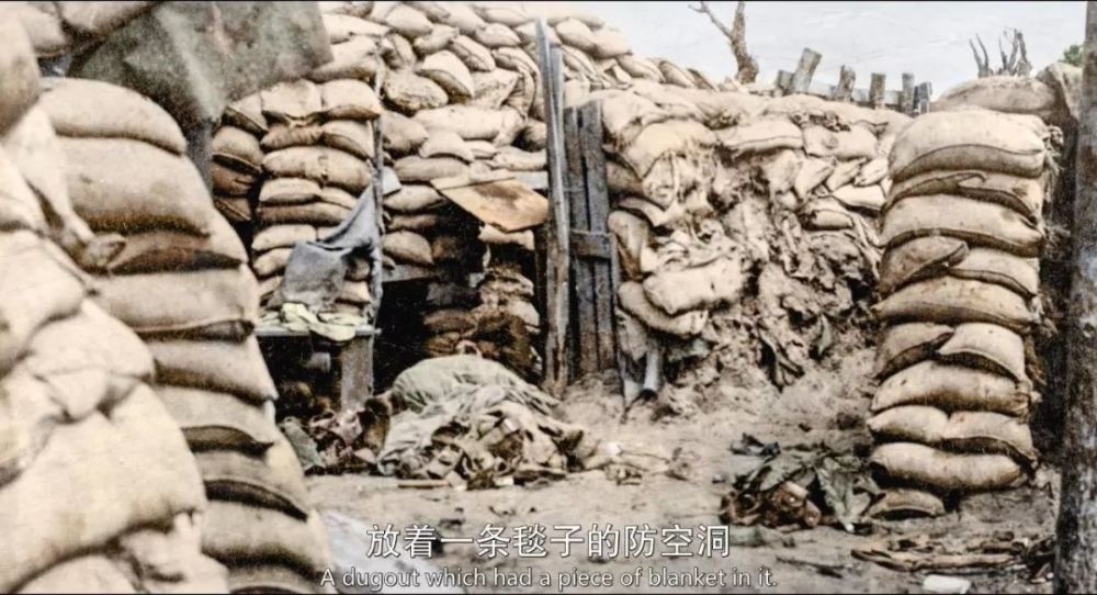 豆瓣9.1,年度最震撼大片,多数人上镜30分钟内就