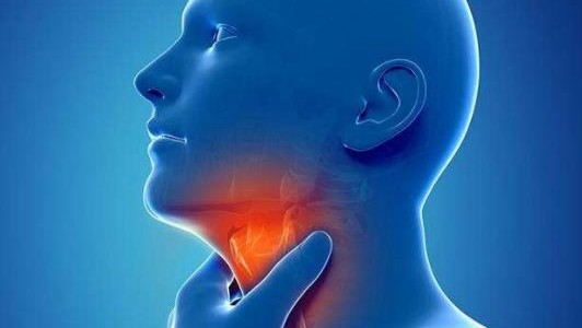 刘德华喉咙发炎中途取消演唱会 嗓音嘶哑不是