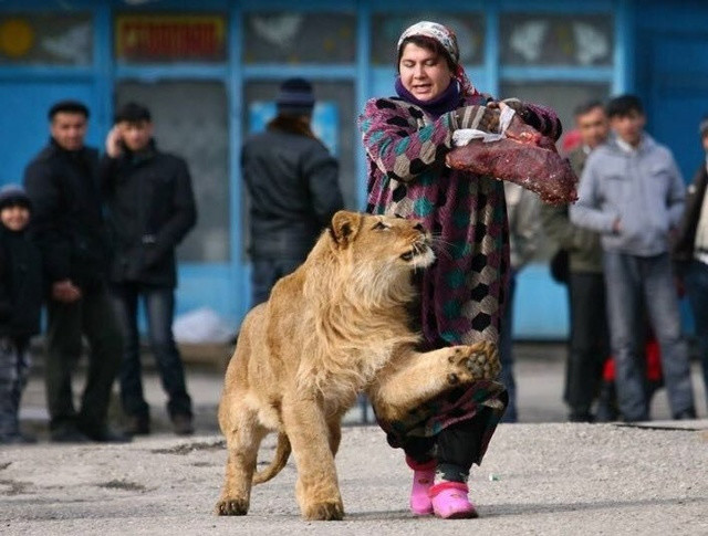 美女带宠物上街,路人纷纷躲让,总算知道外国人