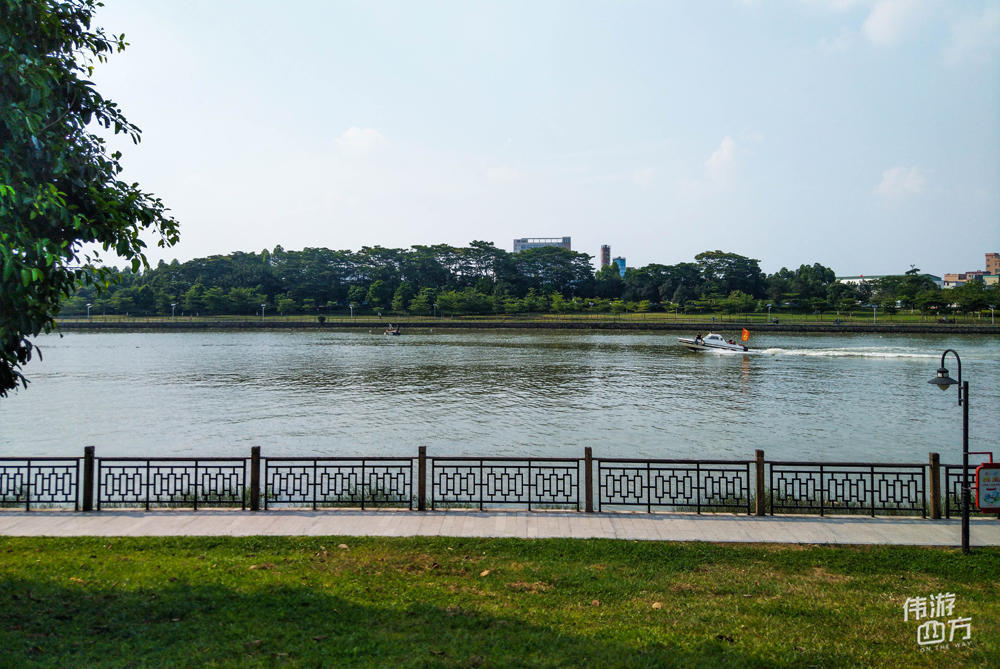 广东东莞万江街道,这里有一个漂亮的湿地公园