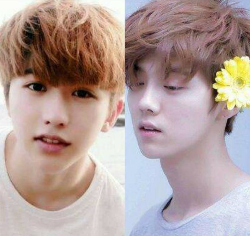 七大卫视跨年节目单:鹿晗蔡徐坤将同台，贾乃亮首次跨年伤情独唱