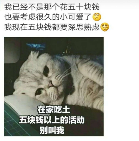适合发朋友圈的霸气搞笑句子,配图疗效更佳,让你成为