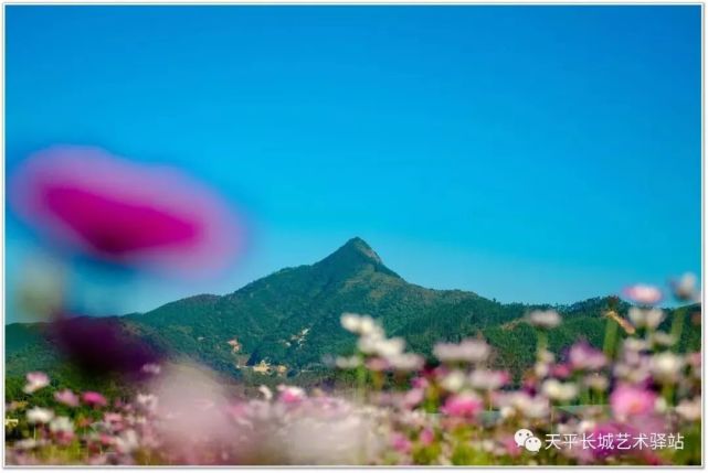 来源:揭西信息网