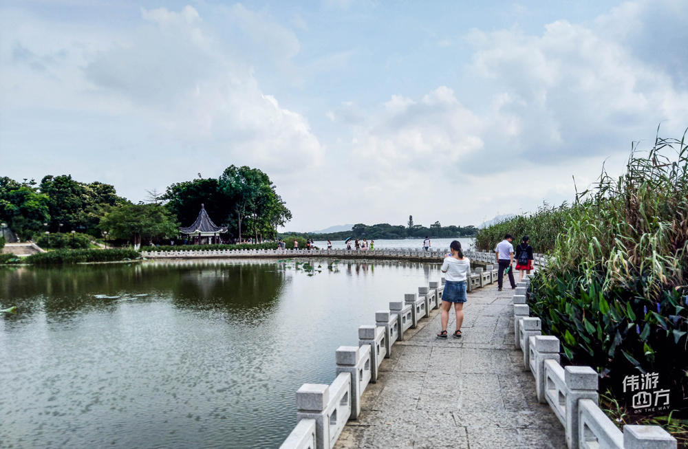 广东东莞最热门的湖泊景区,特别适合环湖散步