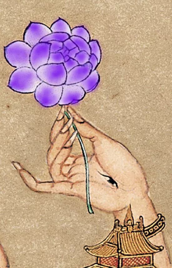 紫莲花手
