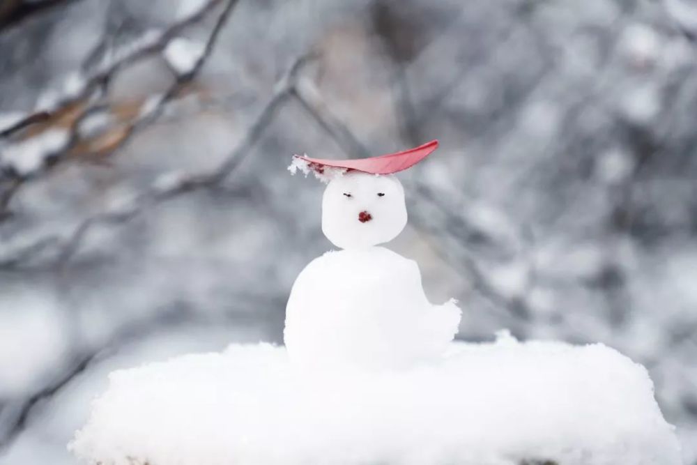好雪片片,不落别处