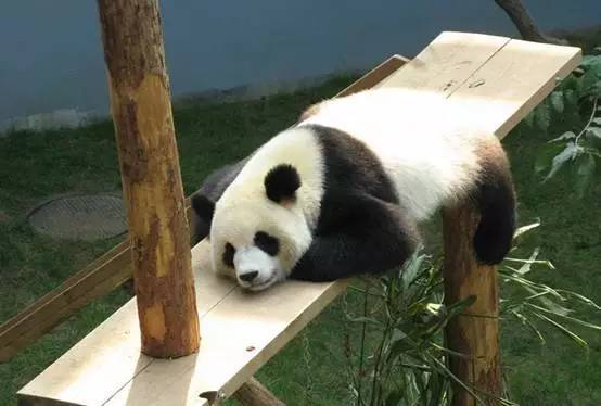 玩<em>遍大连</em>┃各个景点向你敞开大门, 让你不出大