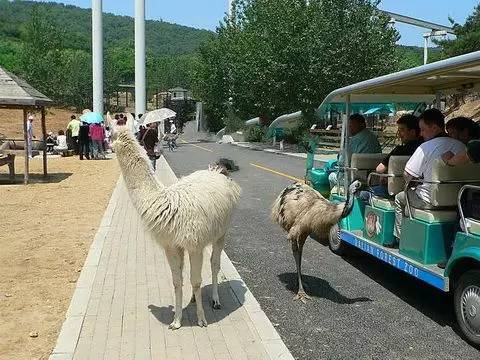 玩<em>遍大连</em>┃各个景点向你敞开大门, 让你不出大