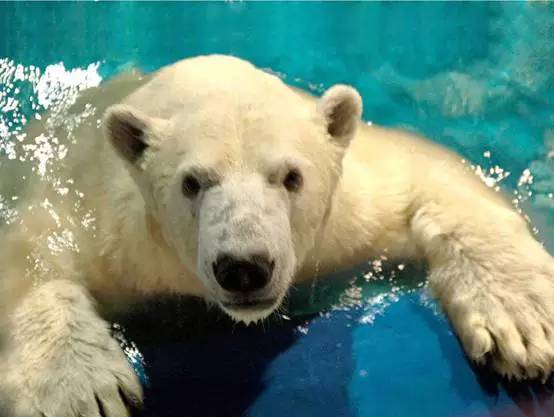 玩<em>遍大连</em>┃各个景点向你敞开大门, 让你不出大