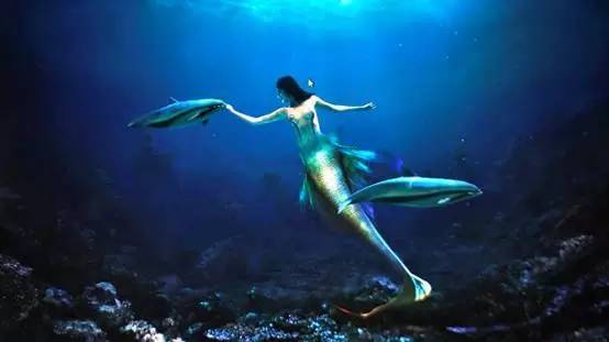 玩<em>遍大连</em>┃各个景点向你敞开大门, 让你不出大