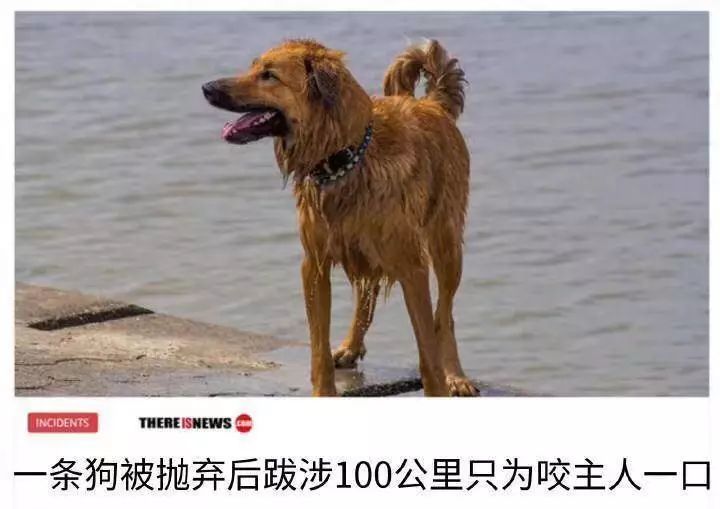 《2018爆笑段子合集》哈哈哈哈哈哈哈哈哈哈