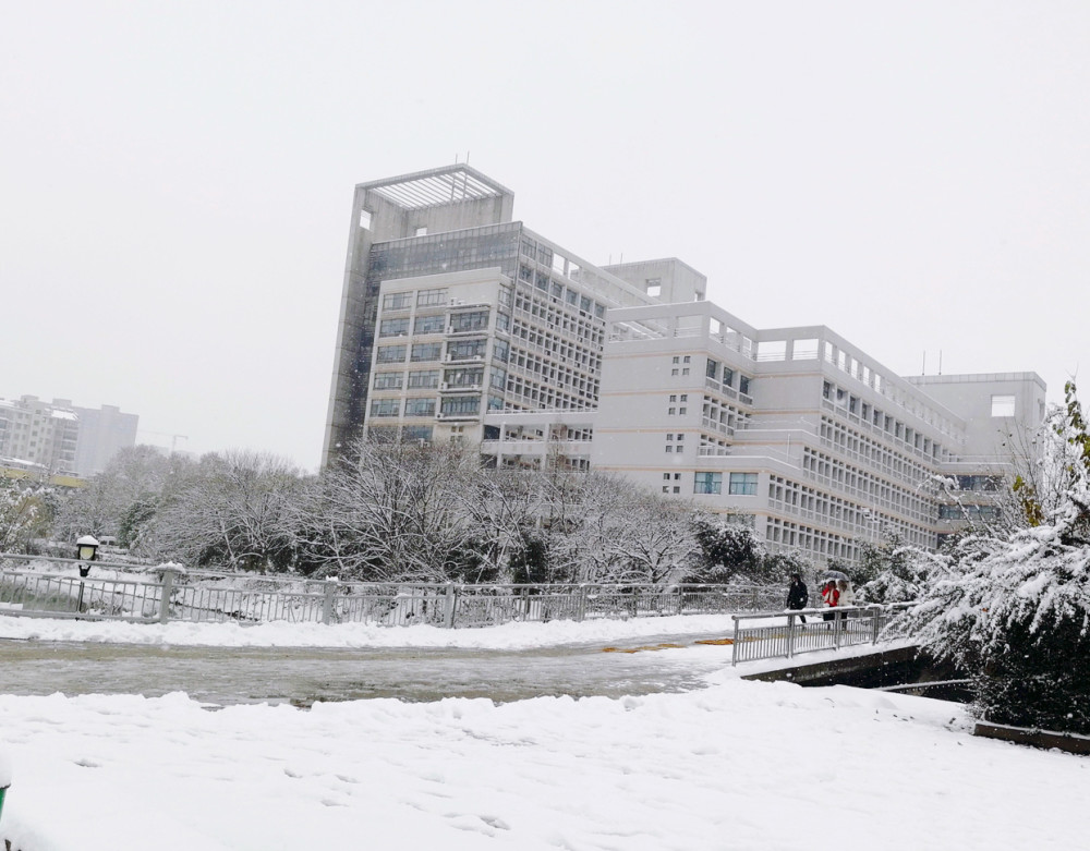 武大,华科,武汉高校雪景来袭,看看你最喜欢哪个大学?