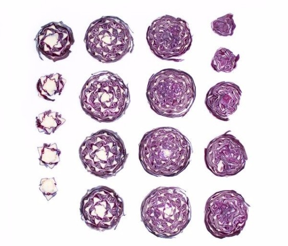 99%的人都不知道的<em>吃</em>功大法!谁说美味和<em>马甲</em>