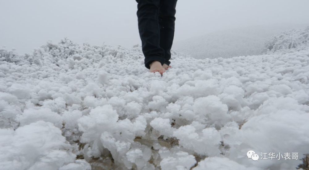 超美,江华雪山脚拇笃,我在西边大岭等你来玩雪