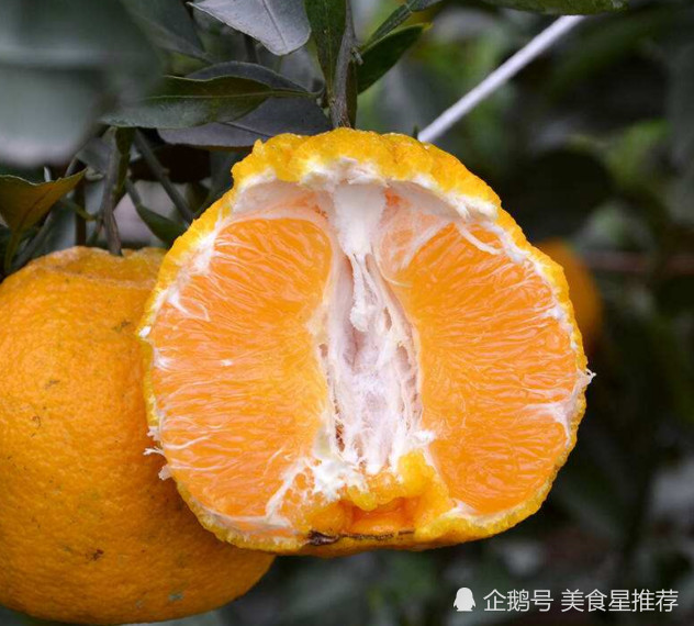 果农种植蜜橘遭滞销,这种丑橘却卖8元一斤,试