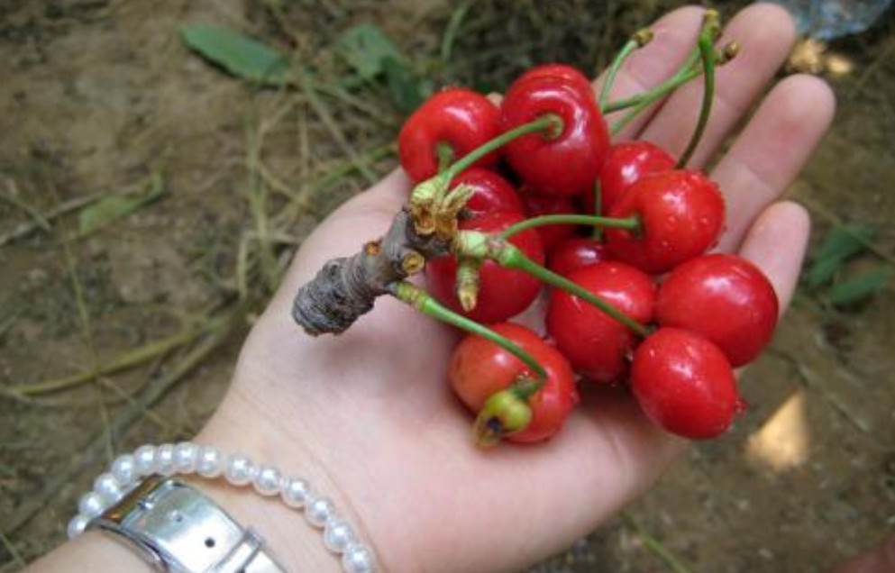 女生来例假,为啥易肚子饿?吃这5种零食,身材