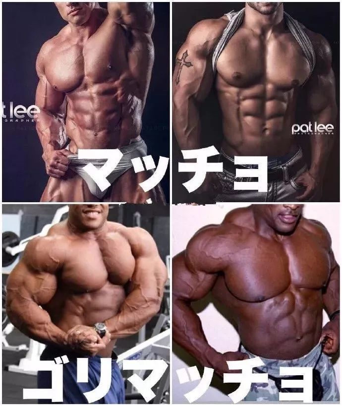 四种类型的肌肉男,你最想练成哪种?