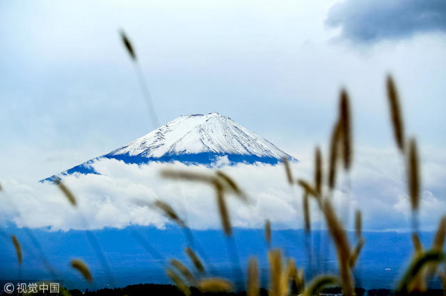 �Ƽ�|ȥ�����������Ҷ���Ԫ��ֵ��10%