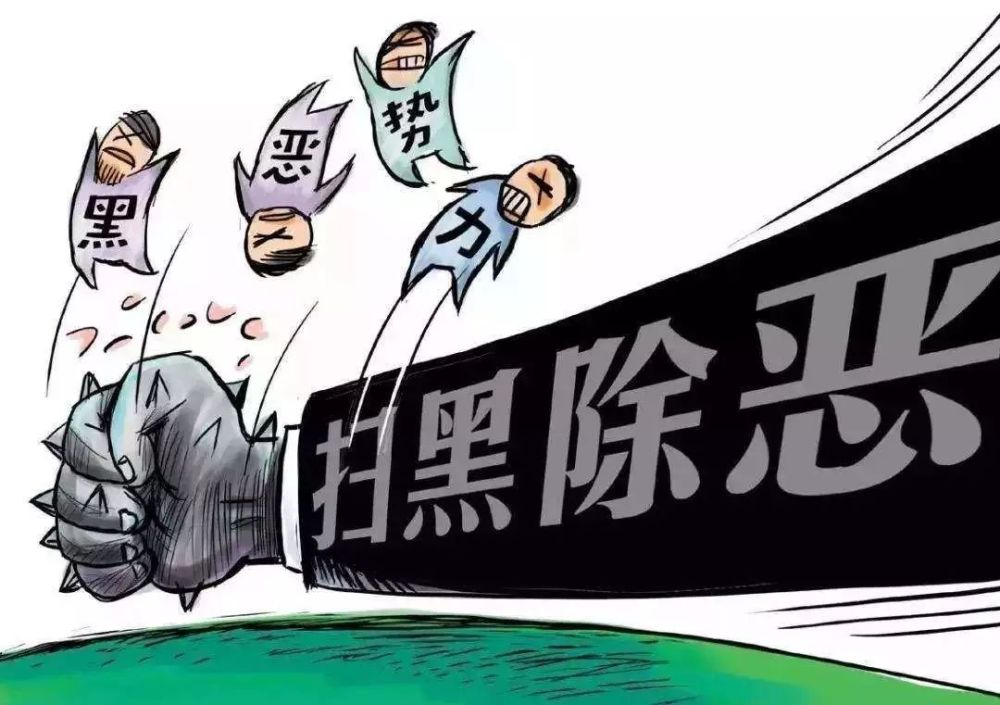 28岁黑道大哥"少爷"及其"马仔"18人落网!静海公安专项