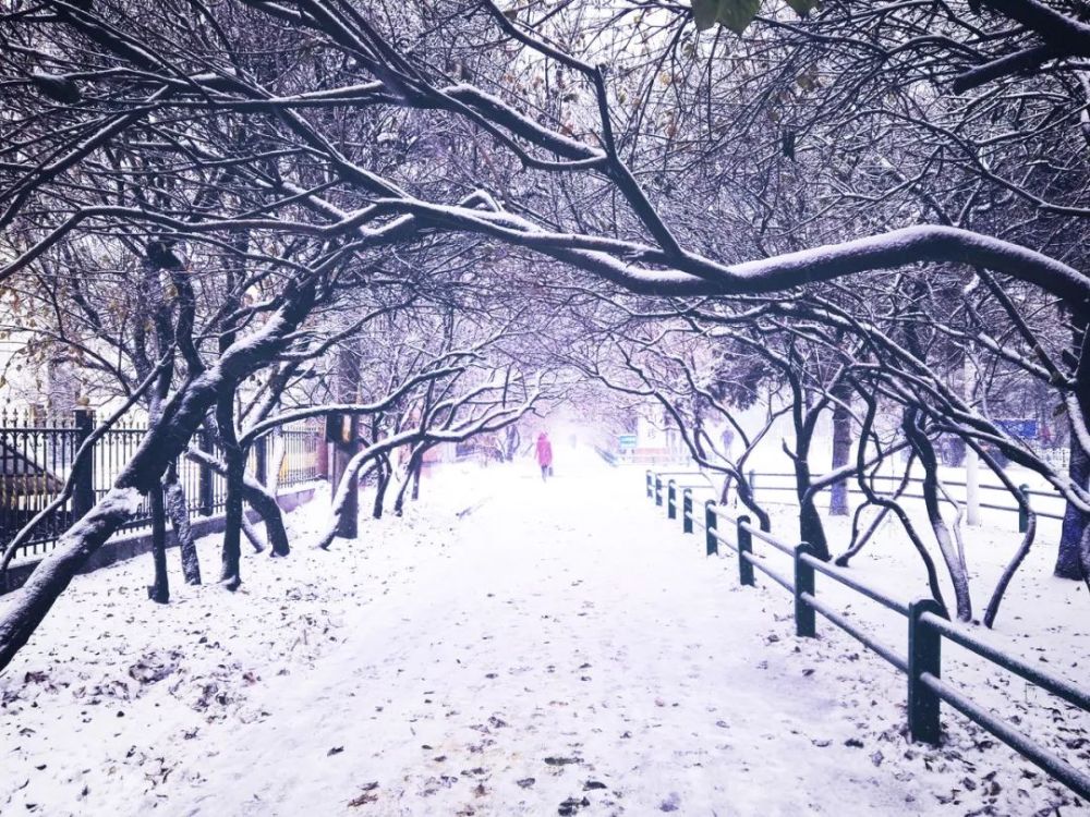 又到数九小寒,唯美钢琴《初雪》