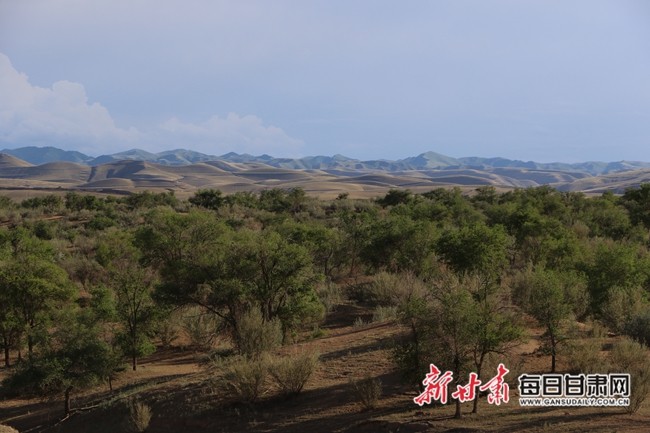 迎来了一群特殊的参观者——武威市古浪县八步沙林场的三代治沙人代表